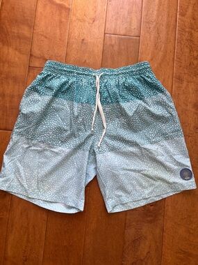 chubbies Teal to Light Teal Ombre Swim Trunks